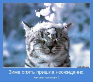зима неожиданно