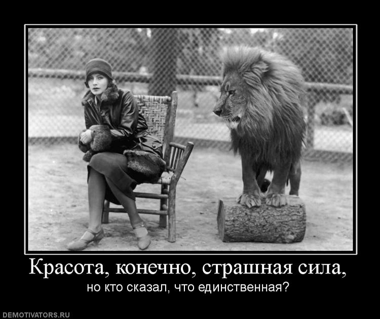 Смотреть красота страшная сила приколы фото красота страшная сила приколы фото