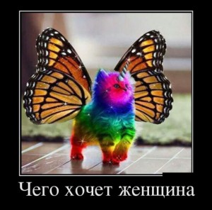 чего хочет женщина котенка