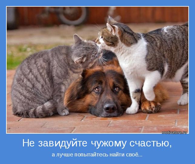 Не завидовать другим как это сделать Не завидовать другим как это сделать