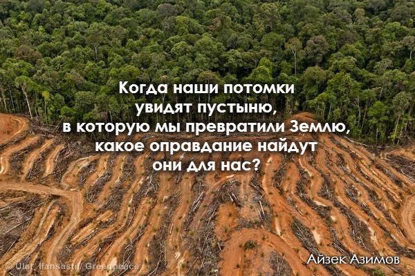 этичный образ жизни не вырубать леса